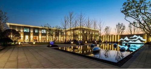 合肥豪宅大爆料最新消息,最新动态与独家爆料一览无余